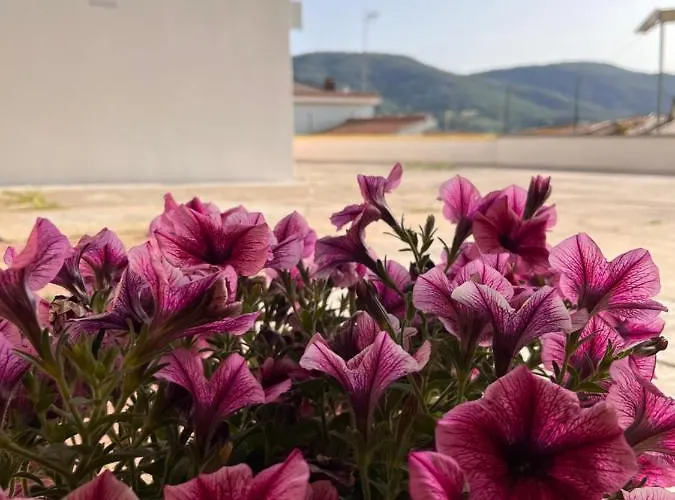 Vendégház Abbanive